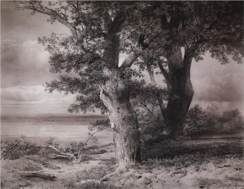 Reproduction of Savrasov's Painting, Oaks On The Shore, 1867 Reproduction of Savrasov's Painting, Oaks On The Shore, 1867