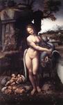 reproduction of Leda (detail) 1508-15 reproduction of Leda (detail) 1508-15