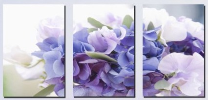 (image for) Transparent purple flowers Modern Abstract Art on canvas 3 pcs