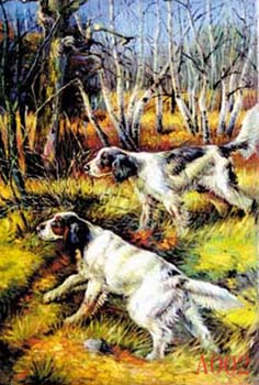 Non-Famous Artist or Original oil painting on canvas: A002 Non-Famous Artist or Original oil painting on canvas: A002