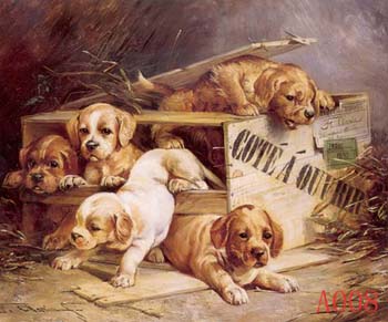 Non-Famous Artist or Original oil painting on canvas: A008 Non-Famous Artist or Original oil painting on canvas: A008