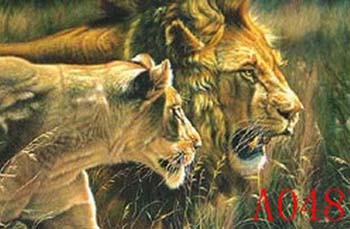 Non-Famous Artist or Original oil painting on canvas: A0048 Non-Famous Artist or Original oil painting on canvas: A0048