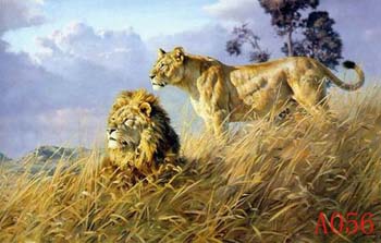 Non-Famous Artist or Original oil painting on canvas: A0056 Non-Famous Artist or Original oil painting on canvas: A0056