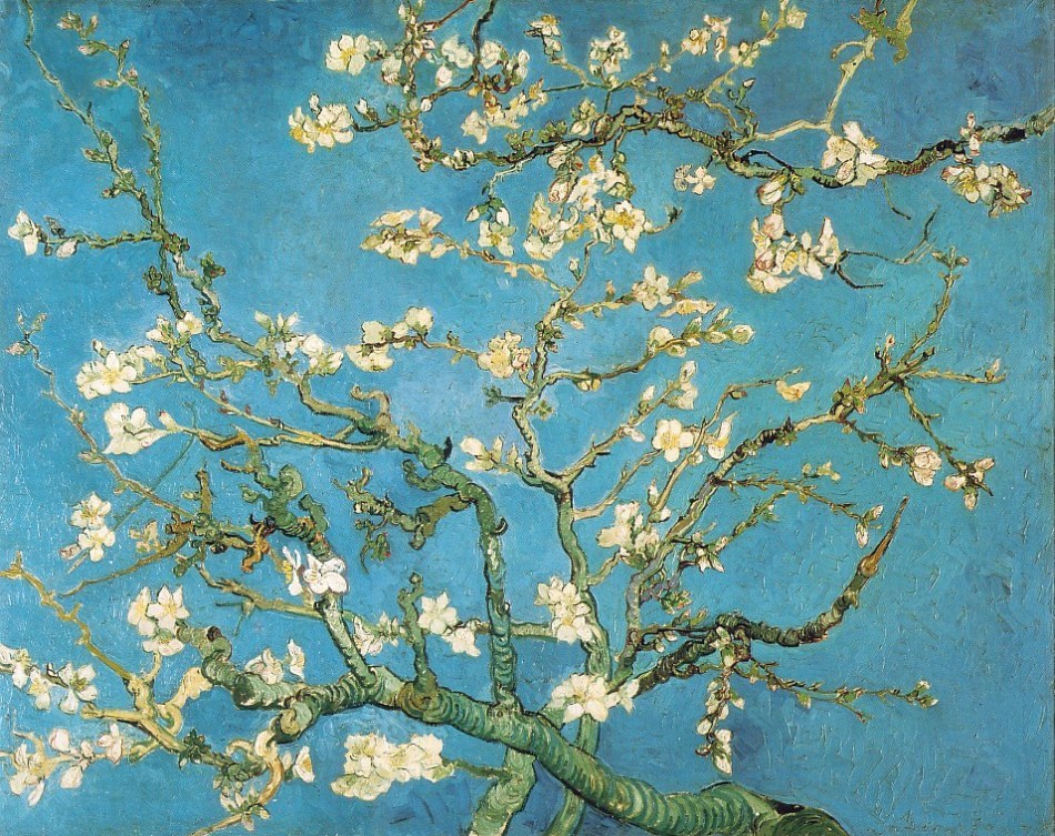 Van Gogh paintings artwork branches of an almond tree in blossom (image for) Van Gogh paintings artwork branches of an almond tree in blossom